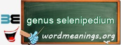WordMeaning blackboard for genus selenipedium